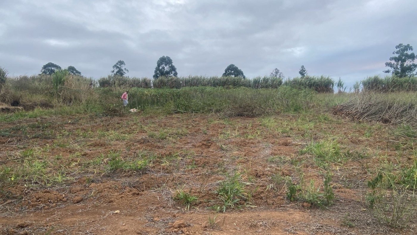 Terreno, 1000 m² - Foto 1