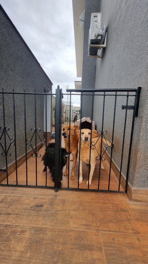 Casa de Condomínio, 3 quartos - Foto 16